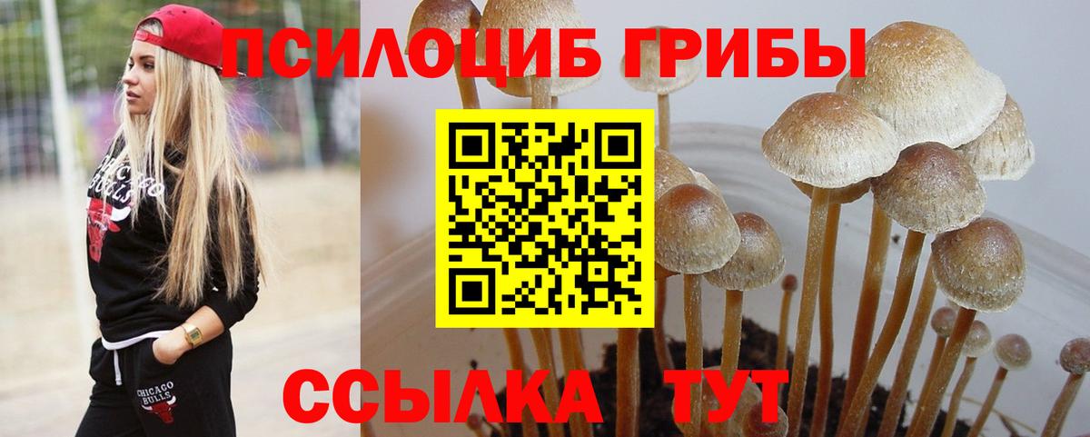 Галлюциногенные грибы мухоморы  Вход с VPN  где купить   Костомукша 
