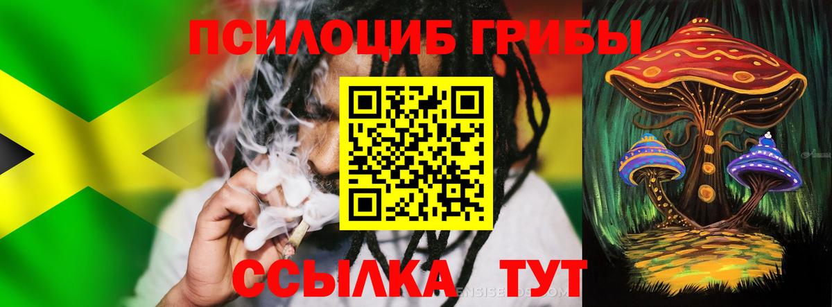 Псилоцибиновые грибы Psilocybine cubensis Костомукша